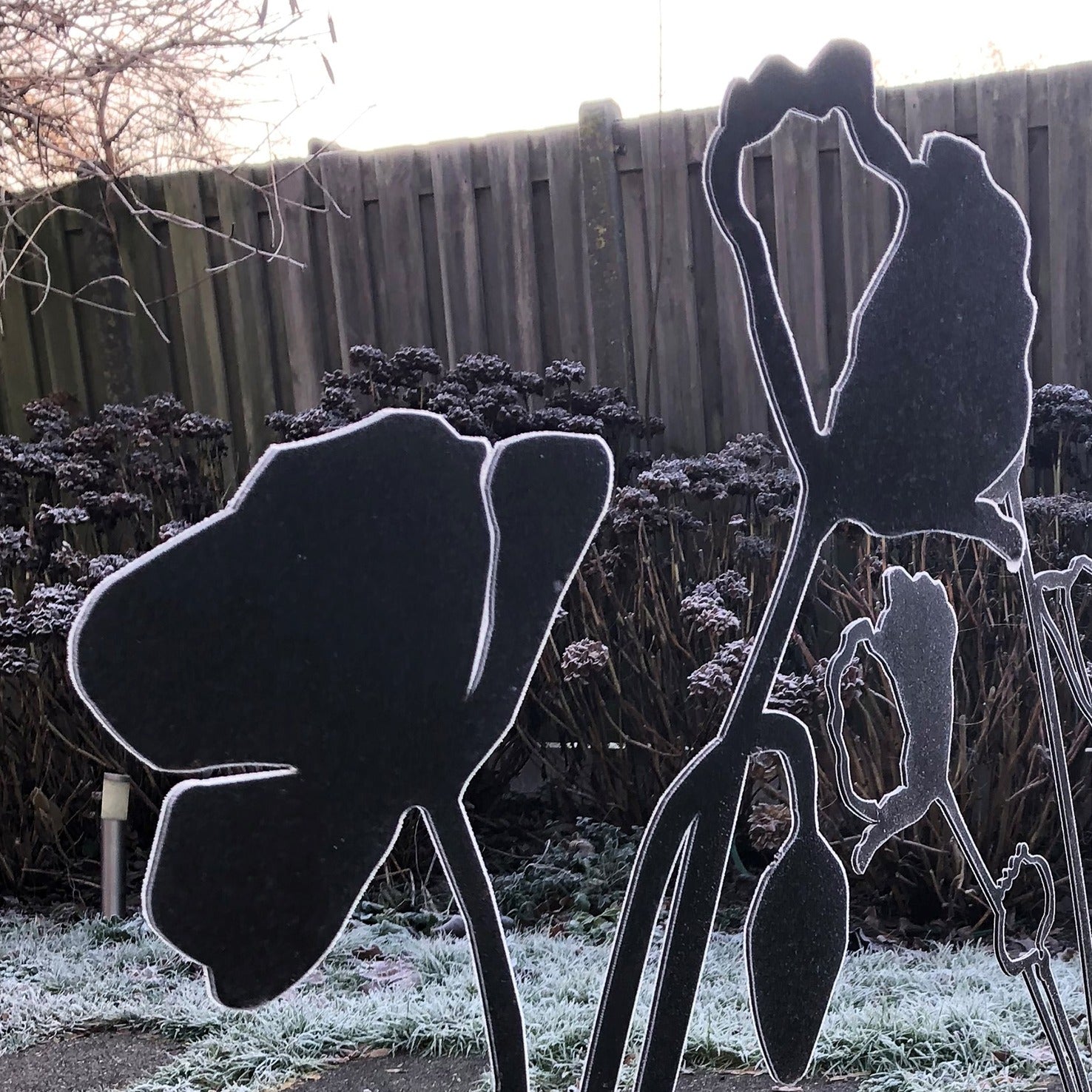 Poppy With Flower Bud | Corten Steel Sculpture