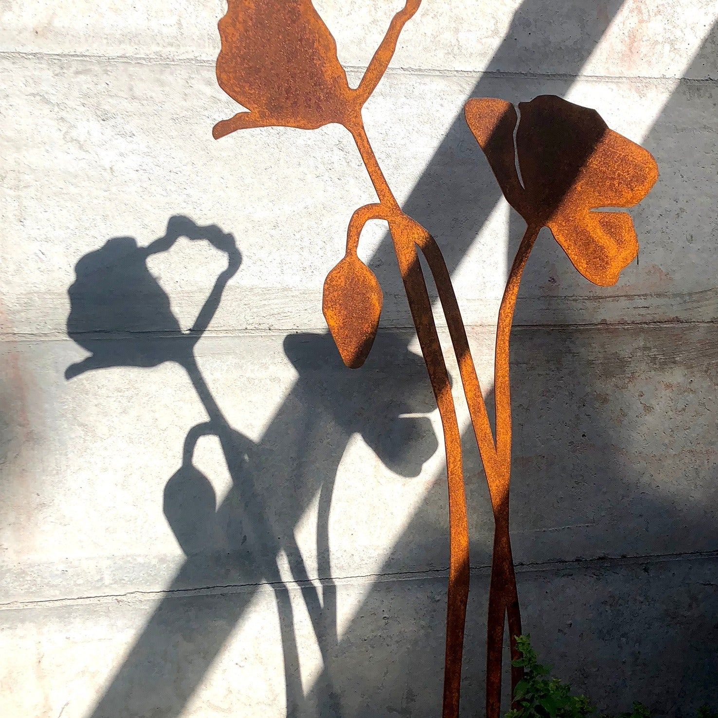 Poppy With Flower Bud | Corten Steel Sculpture