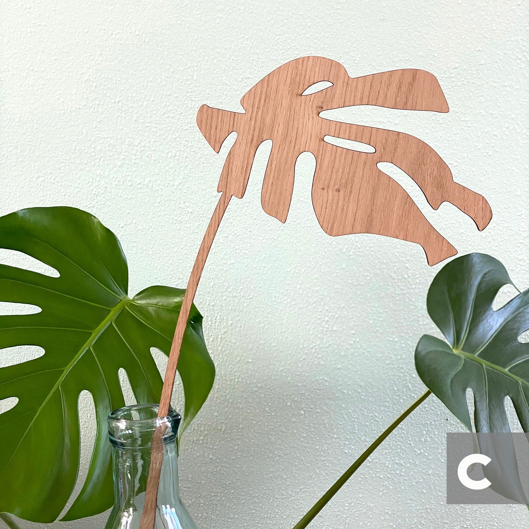 Monstera Sculptuur