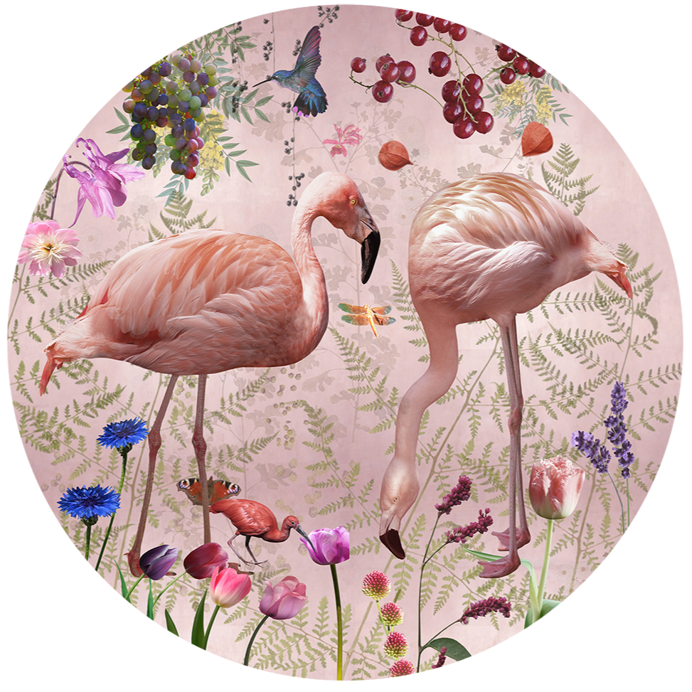 Behangcirkel Audubon ⌀ 100 cm pink