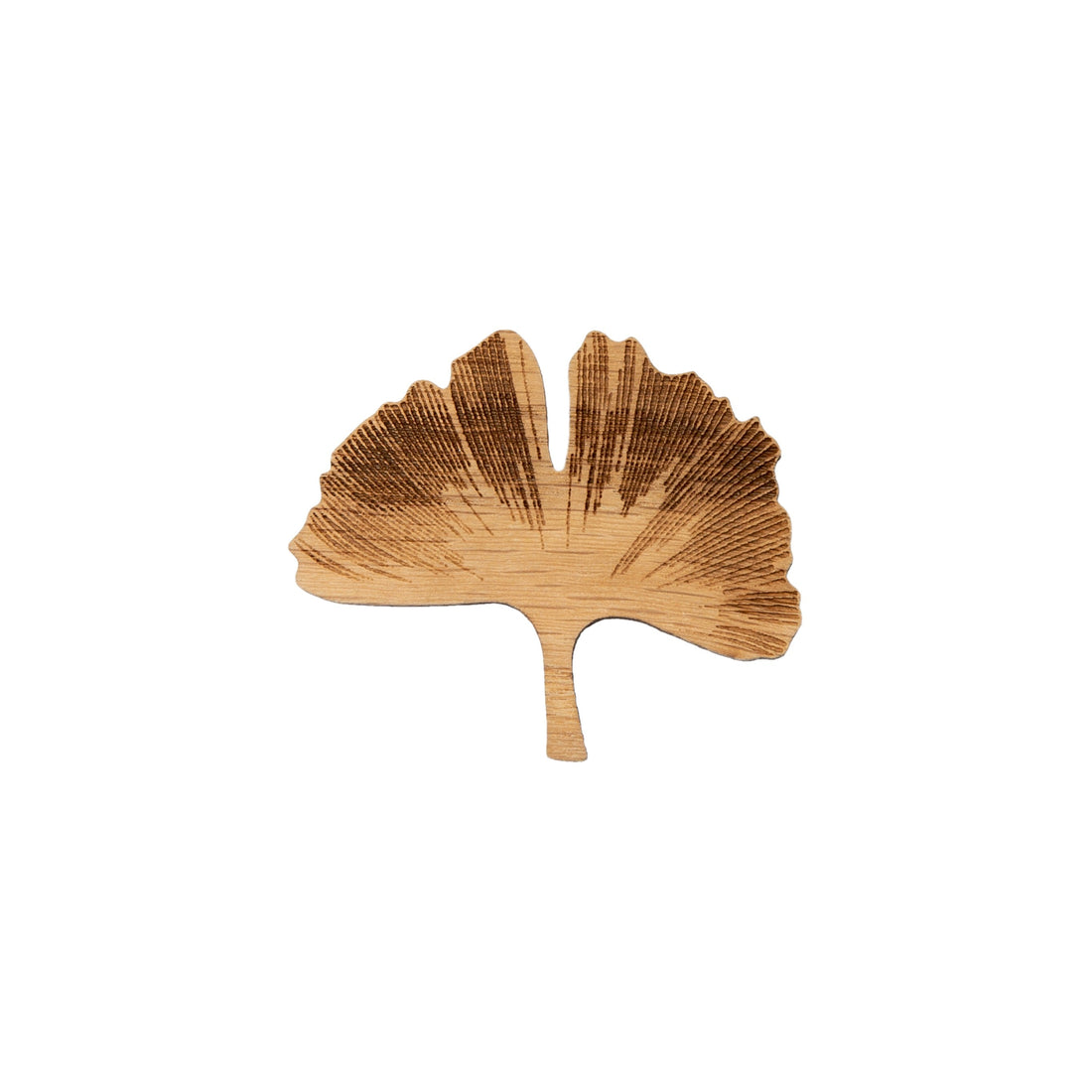 Ginkgo Biloba broche