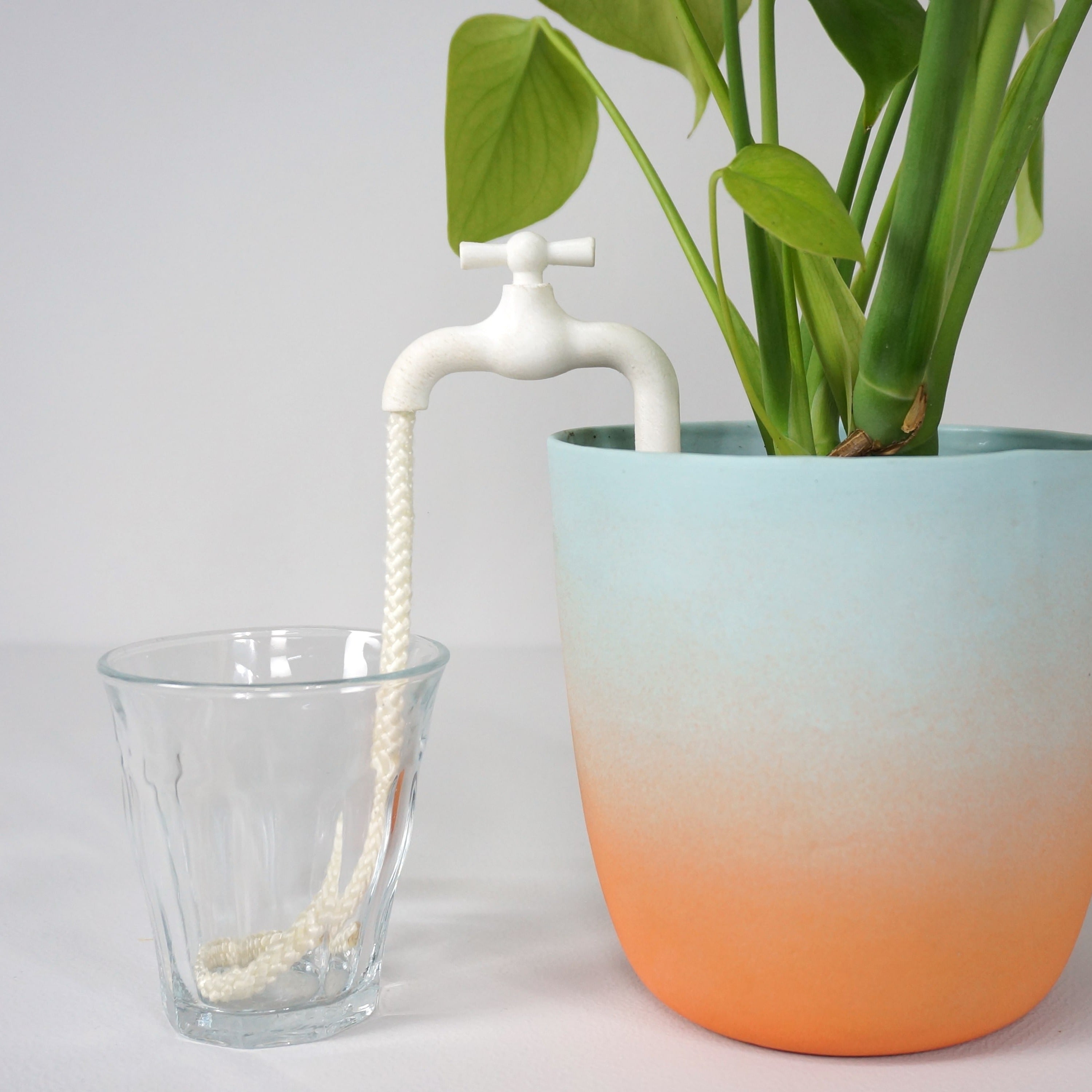 Plant Water Tap