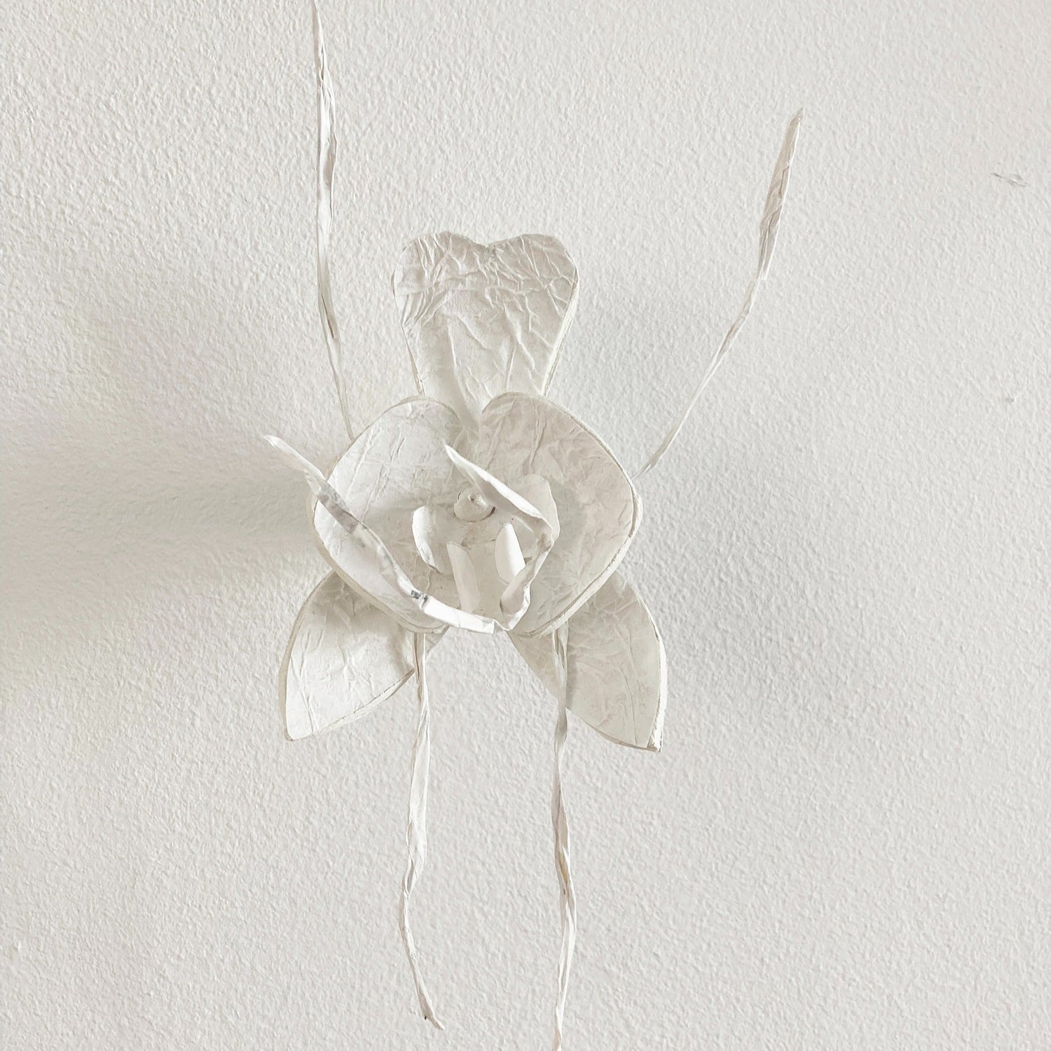 Orchidee muur decoratie