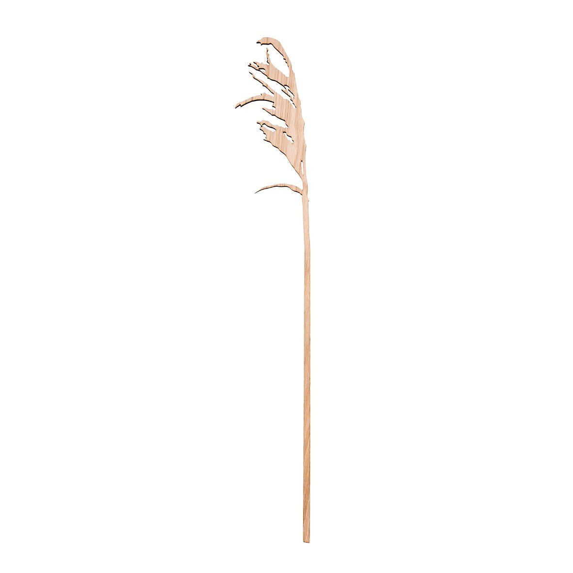 Reed Branch | Rietstengel