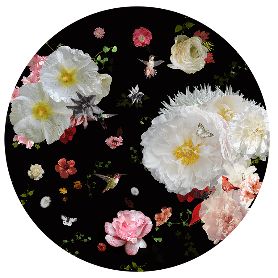 Behangcirkel Roses ⌀ 100 cm
